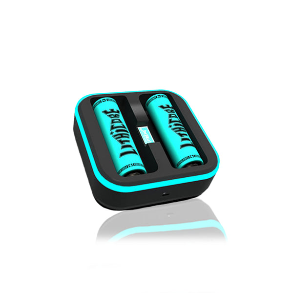 Lithicore Pulse 2 Bay Charger